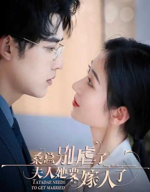 第七个证人 热播电视剧全集免费观看